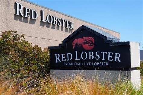Red lobster hampton va - Job posted 1 day ago - Red Lobster is hiring now for a Full-Time Server in Hampton, VA. Apply today at CareerBuilder!